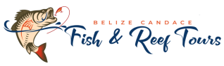 belize candace fish and reef tours